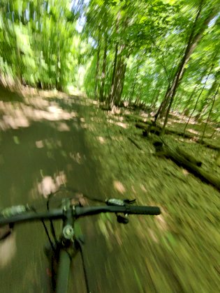 IMG_20220709_120948.jpg