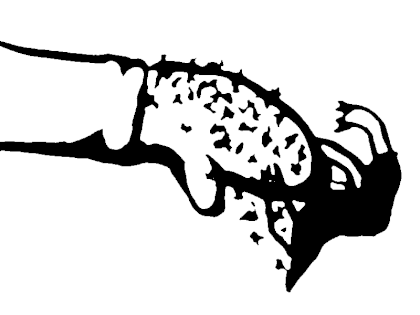 bf-7-small.png