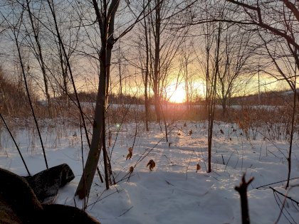 IMG_20211207_161444.jpg