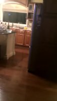 doggy pahoissa.webm