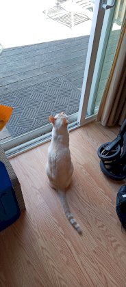 IMG_20230622_134237_473.jpg
