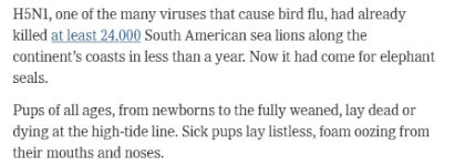 Screenshot 2024-04-25 at 03-56-55 Bird Flu Is Infecting More Mammals. What Does That Mean for Us.png