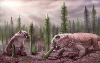 lystrosaurus.jpg