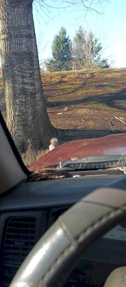 IMG_20231126_124908_630.jpg