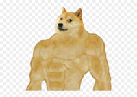 528-5286415_doge-dogge-strong-buff-meme-shitpost-nobackground-swole.png