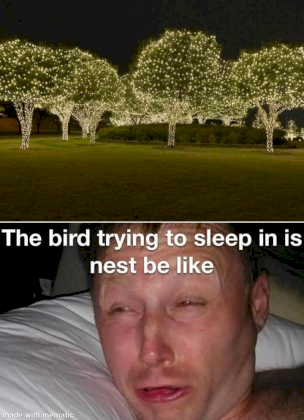 lighttrees.png