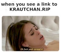 kc banner 2.jpg