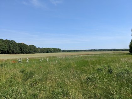PXL_20220605_093424302.jpg