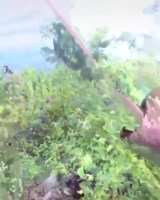 1624364522628.webm