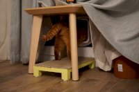 DSC07047.JPG