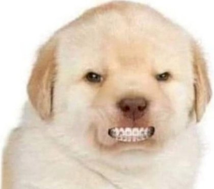 kurwa.jpg