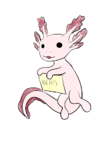 benis.png