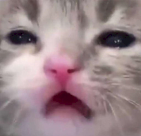 15979724085060.png