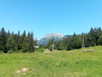 IMG_20200710_115538_9.jpg