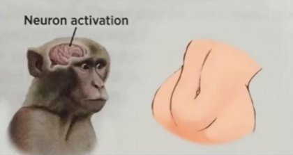 woman neurons.jpg
