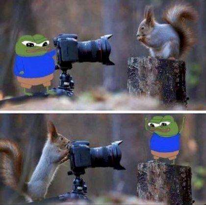 f4e4eba0ffe54df7.jpg