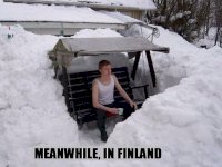 meemi.jpg