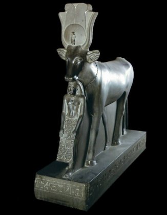 egypt-moo.jpg