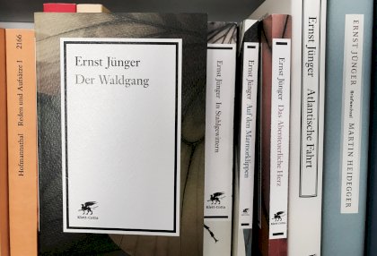 waldgang-1.jpg