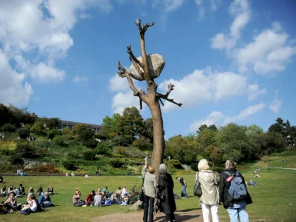 kunst-guiseppe-penones-idee-di-pietra-bleibt-in-kassel..webp