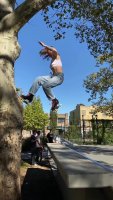 skate tree.mp4
