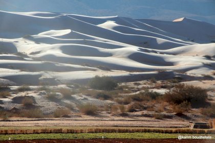 ain-sefra-algeria-snow-covered-sand-dunes-january-17-2022-c.jpg