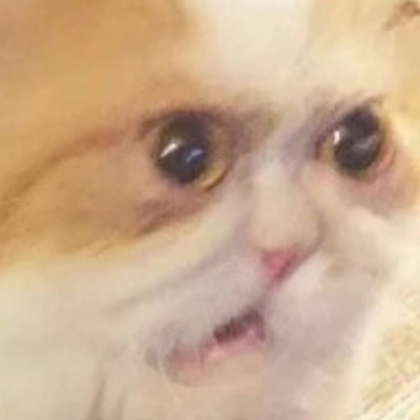 1653505220920.png