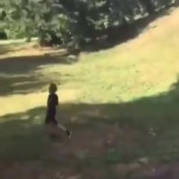7b89fb5529ba42a0.mp4