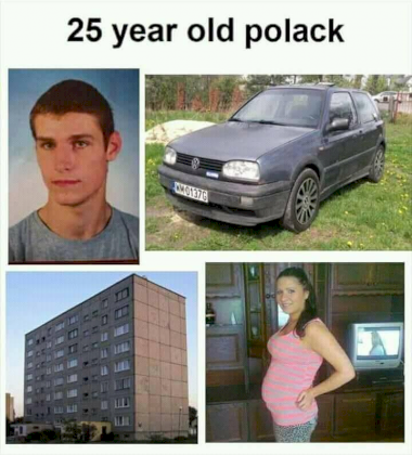 f0d81e61531bea86795b3759cab94c5ec3f6bad5b4a74b43dfc02fc6dda738e5.png