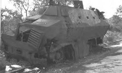tin2.jpg