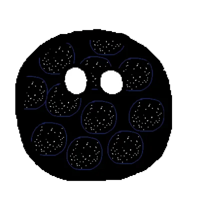 WebP Image.webp