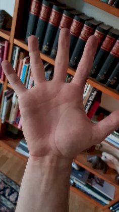 20210427_200907.jpg