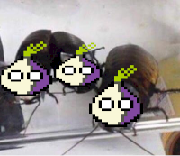 onion_vermin.png
