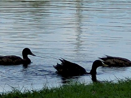 20230902_141149.jpg