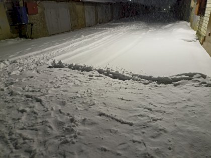 shnow.jpg
