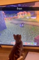 VID_20250411_010101_912.mp4