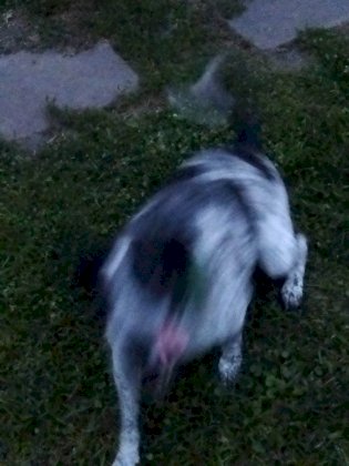 IMG_20230810_202821.jpg