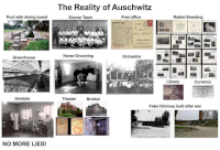 tcwfaetet.png
