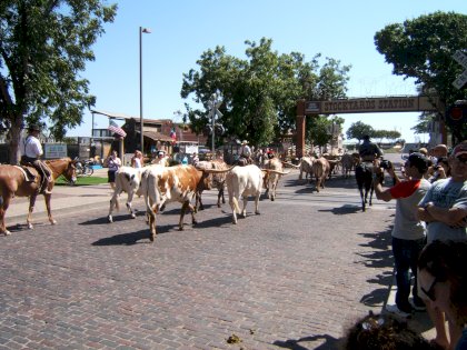 DSCF0033.JPG