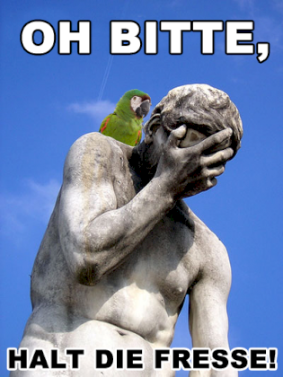 1251217646001-1.png
