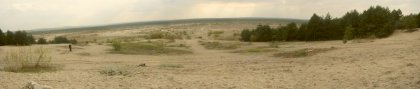 Blendowska_Desert.jpg
