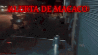 ALERTA.gif