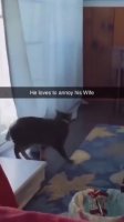aZZPbz6_460svav1.mp4