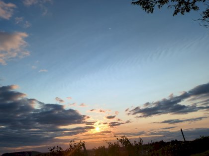 IMG_20240914_190318_034.jpg