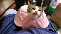 ap9jddn_460svvp9.webm