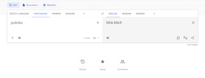 Screenshot 2023-02-10 at 11-04-27 Google Translate.png