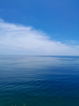 20231020_121923.jpg