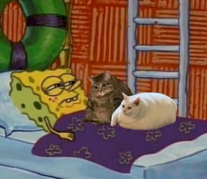 spongebob_sad_kots.jpg