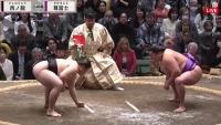 20260113-juryo-Nishinoryu-vs-Takerufuji.mp4