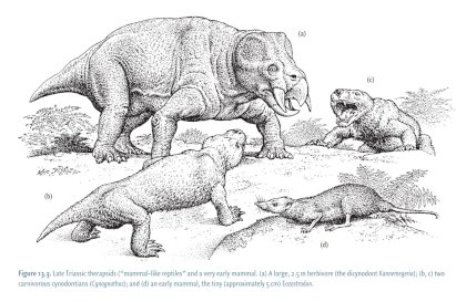 therapsids.jpg